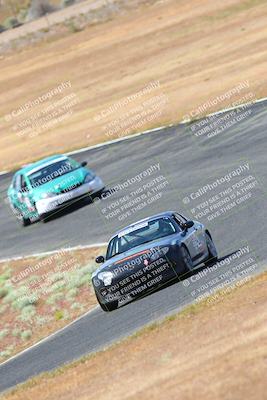 media/May-06-2023-Lucky Dog Racing (Sat) [[8f2256f436]]/Turn 2 10a/